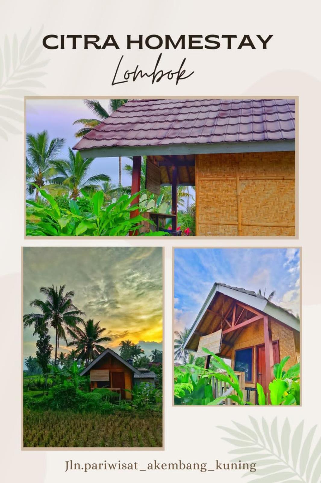 טטבאטו Citra Homestay מראה חיצוני תמונה