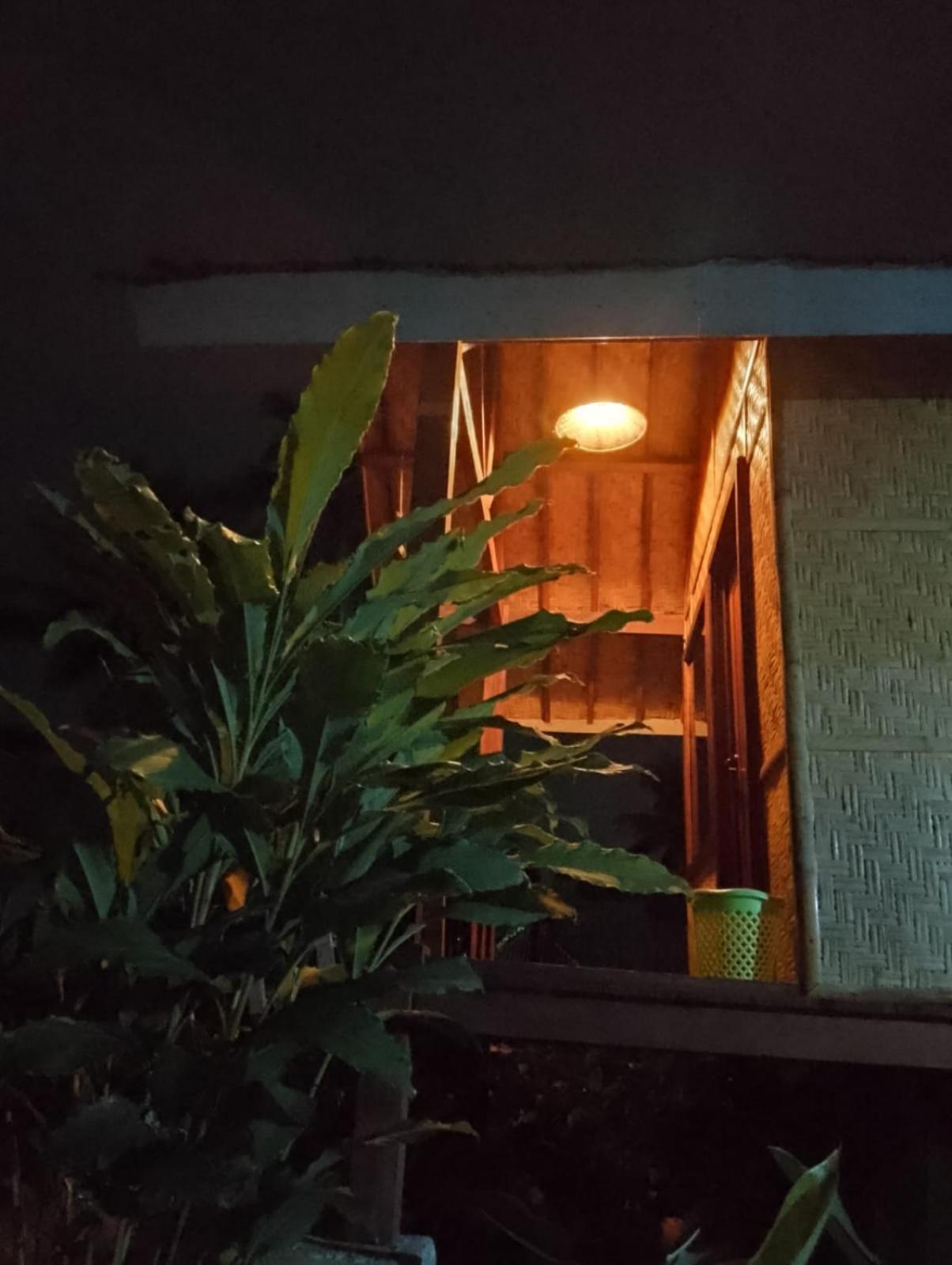 טטבאטו Citra Homestay מראה חיצוני תמונה