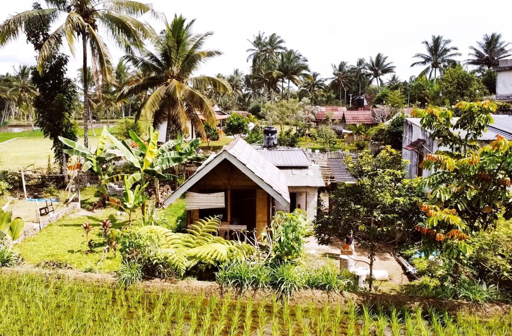 טטבאטו Citra Homestay מראה חיצוני תמונה